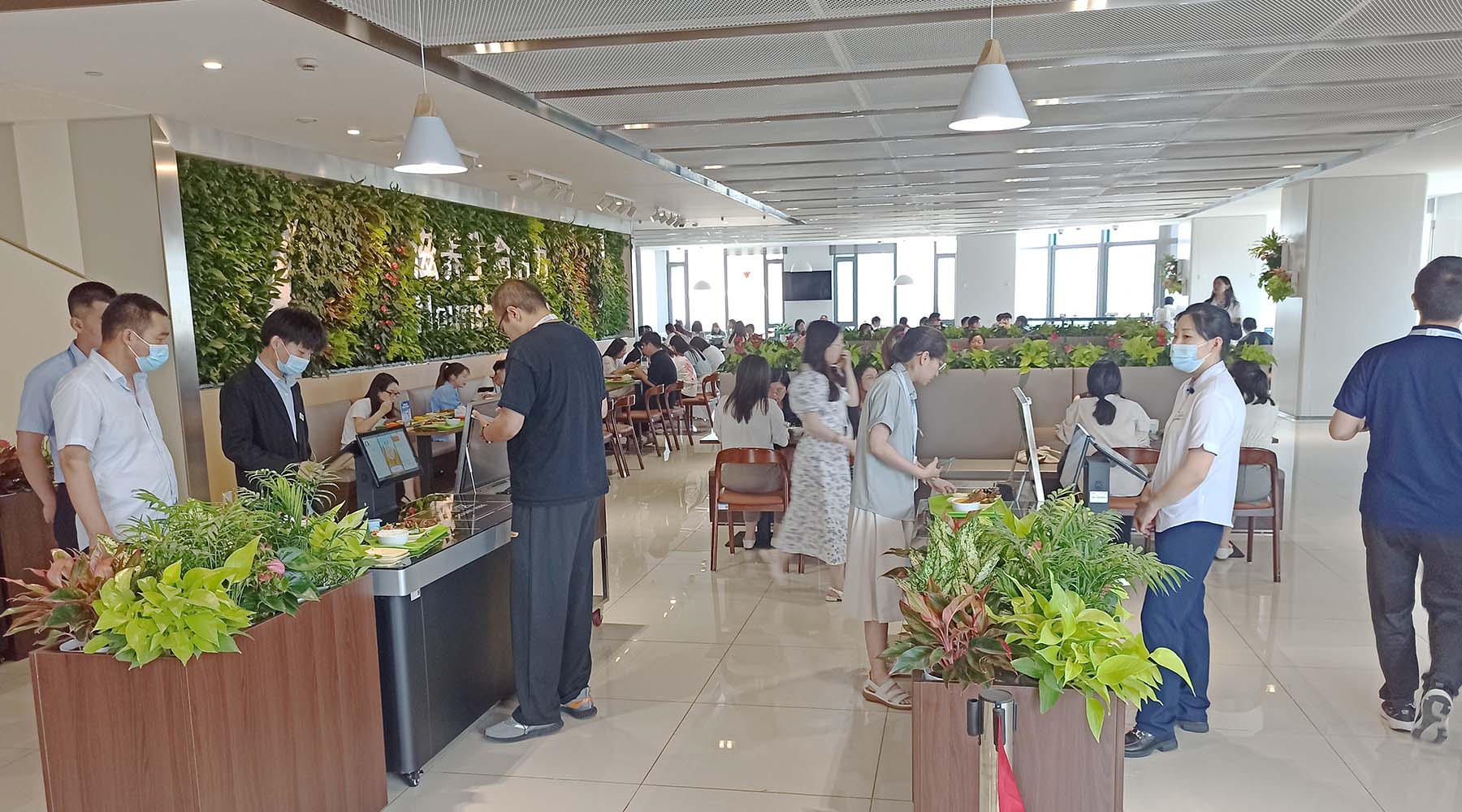 食堂建设成效