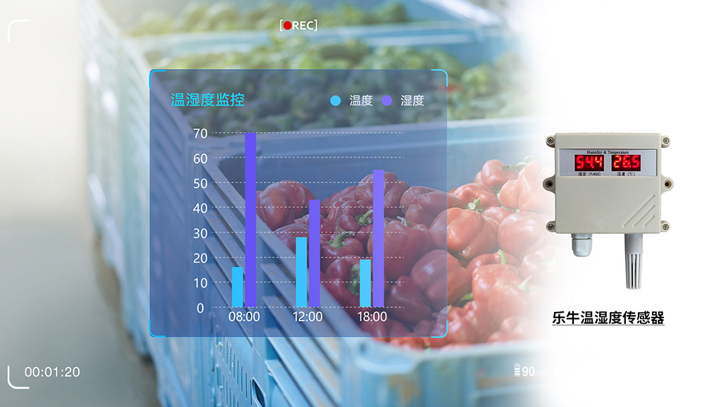 中小学阳光食堂平台