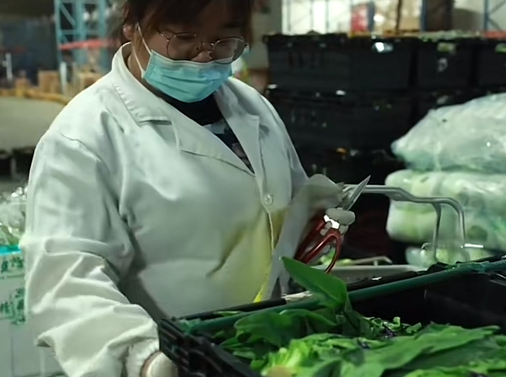 智慧食堂解决方案