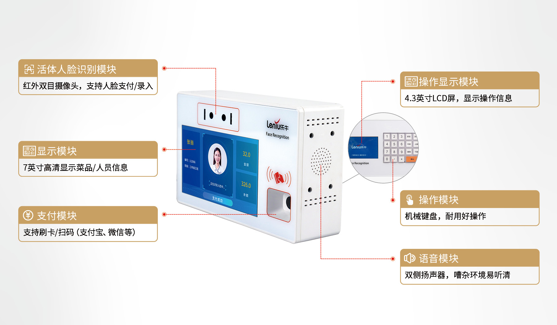 多样性