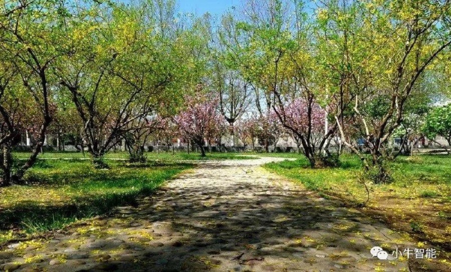 南京小牛智能-智能餐台，智能餐盘，智慧餐饮